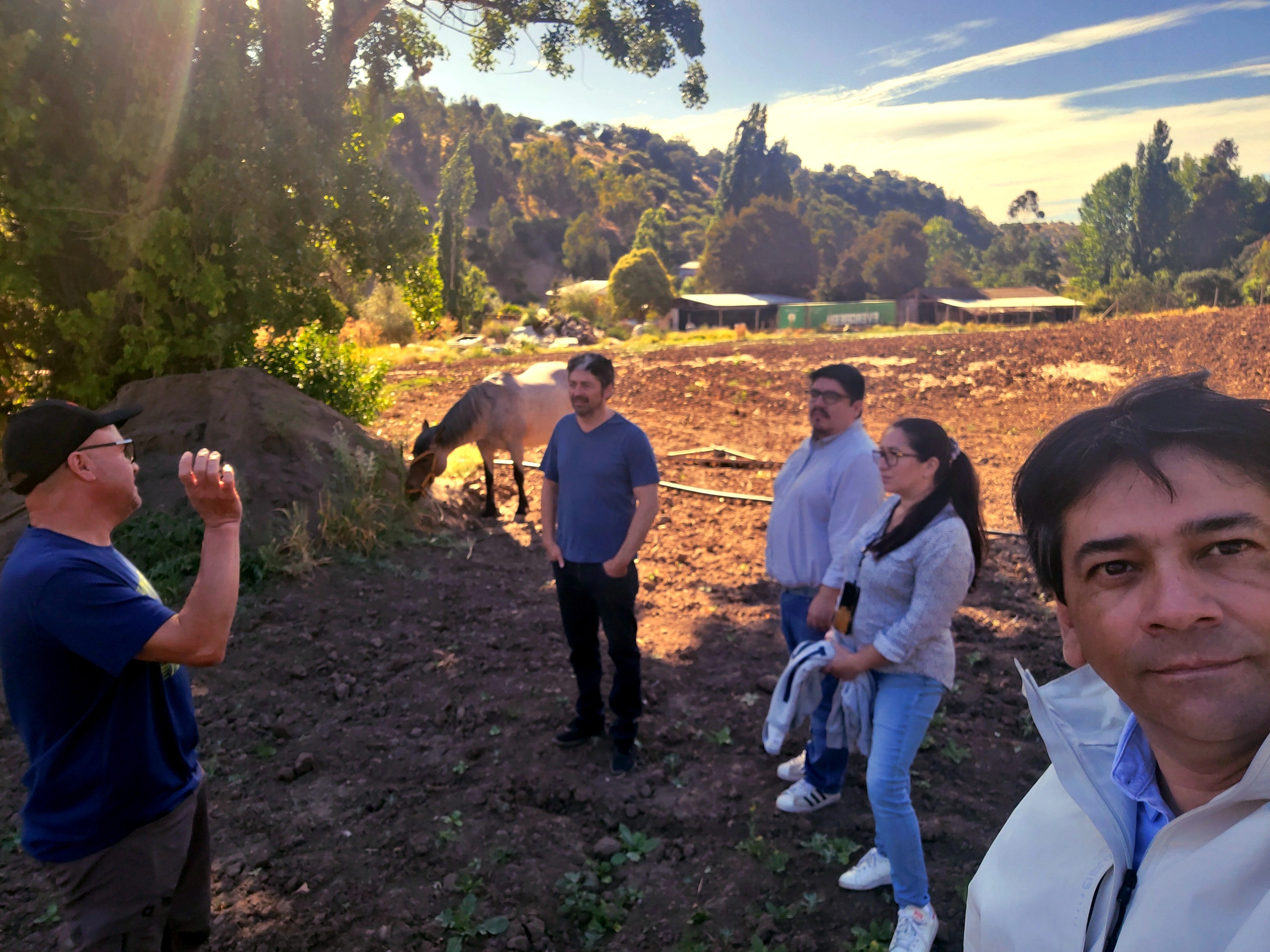 Mediería 2